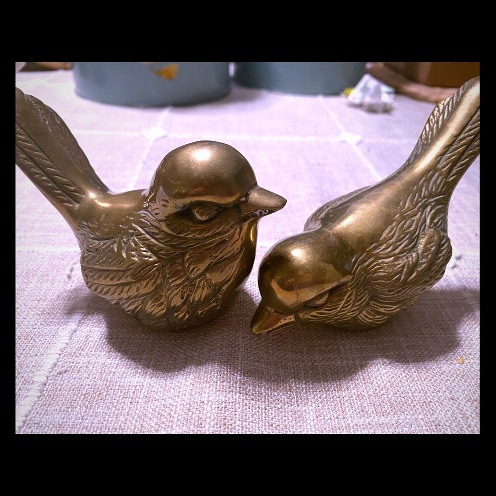 Brass lovebirds